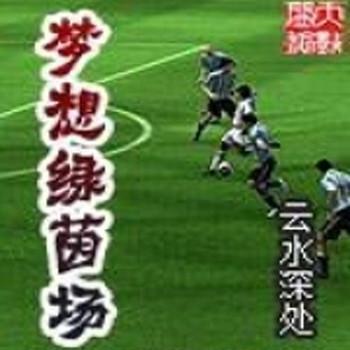 梦想绿茵场封面
