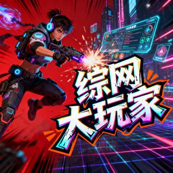 综网大玩家封面