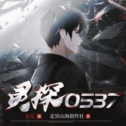 灵探0537封面