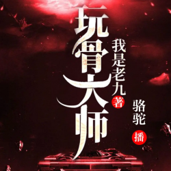 玩骨大师封面