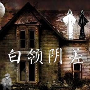 白领阴差封面