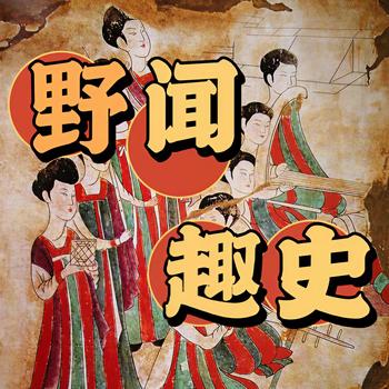 野闻趣史封面