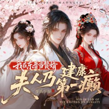 我在东晋当赘婿，夫人乃建康第一癫封面