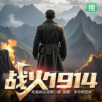 战火1914封面