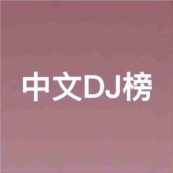 中文DJ榜封面