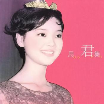 思君集封面