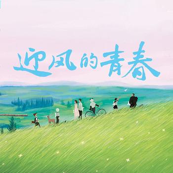 迎风的青春封面