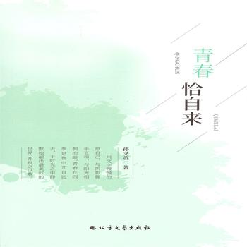 青春恰自来封面