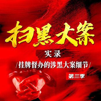 扫黑大案实录第三季(多人剧)封面