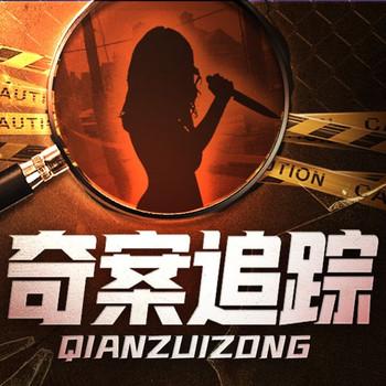 老王讲大案：奇案追踪封面
