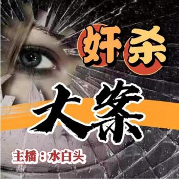 情感大案封面