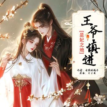 是妃之地：王爷，慎进·封面