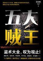 五大贼王之身世谜图封面