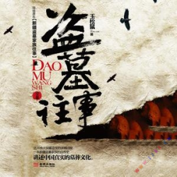 盗墓往事封面