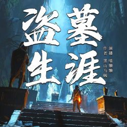 盗墓生涯封面