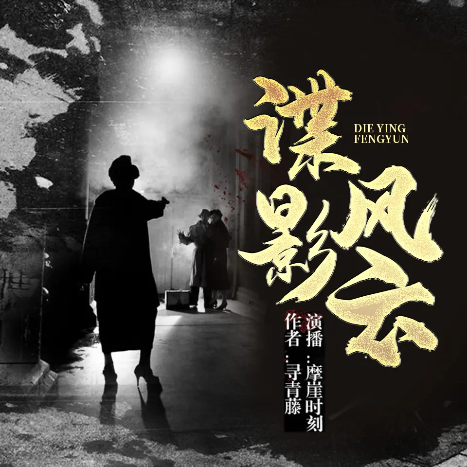 谍影风云封面