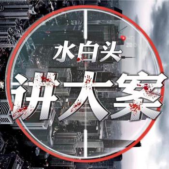 水白头讲大案封面