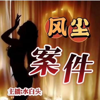 风尘案件封面