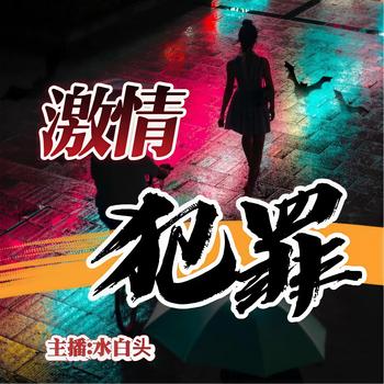 激情犯罪封面