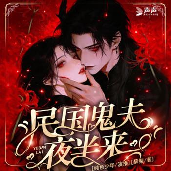 民国鬼夫夜半来封面