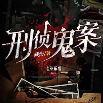 刑侦鬼案封面