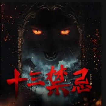 十三禁忌封面