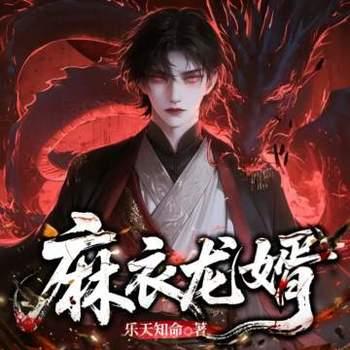 麻衣龙婿封面