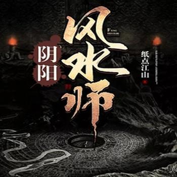阴阳风水师封面