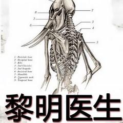 黎明医生封面