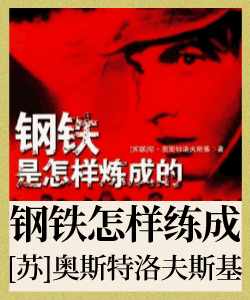 钢铁是怎样练成的封面