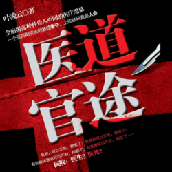 医道官途封面