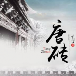 唐砖封面