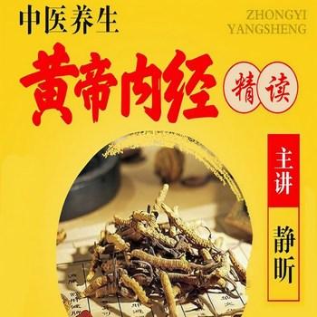 黄帝内经(多人剧)封面