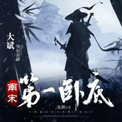 南宋第一卧底封面