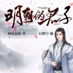 明朝伪君子封面