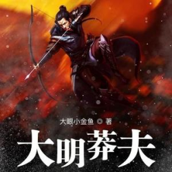 大明莽夫封面