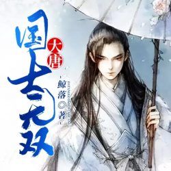 大唐国士无双封面