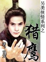 猎鹰·赌局封面