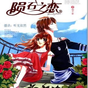 陨石之恋封面