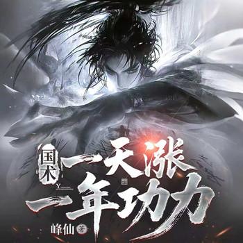国术:一天涨一年功力!封面