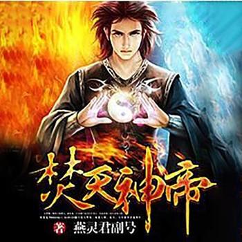 焚天神帝封面