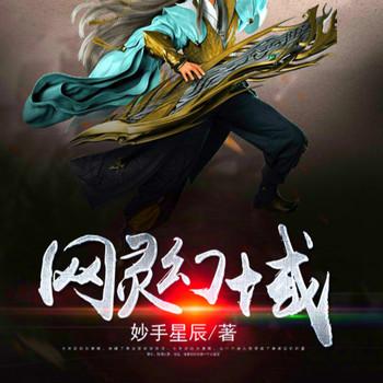 网灵幻域封面