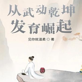 从武动乾坤发育崛起封面
