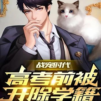 战宠时代：高考前被开除学籍封面