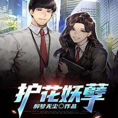 护花妖孽封面