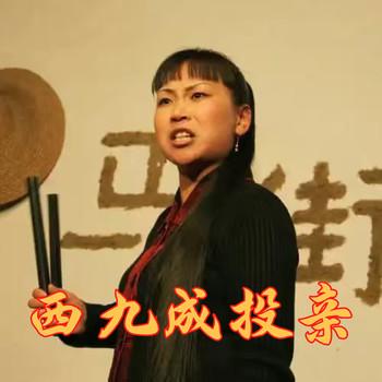 河南坠子-西九成投亲封面