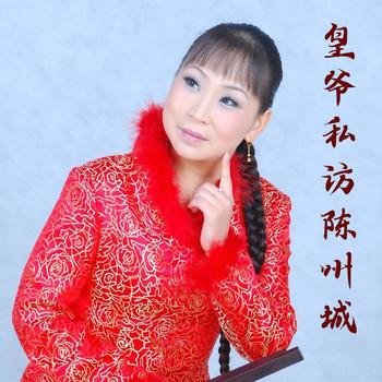 河南坠子-皇爷私访陈州城封面