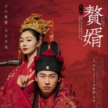 赘婿封面