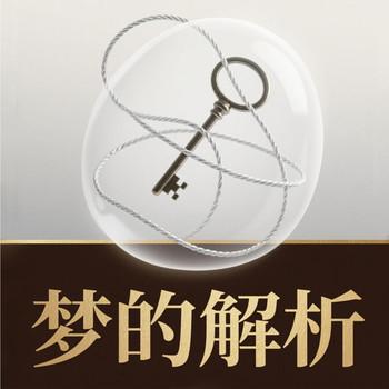 梦的解析封面