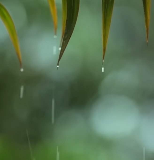 听雨睡眠,最适合睡觉的雨声封面